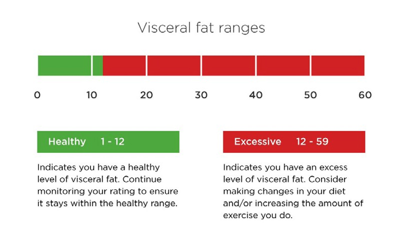 visceral-fat-ranges